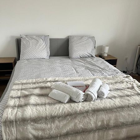 Appartement Luxueux Au Coeur De 里尔 外观 照片