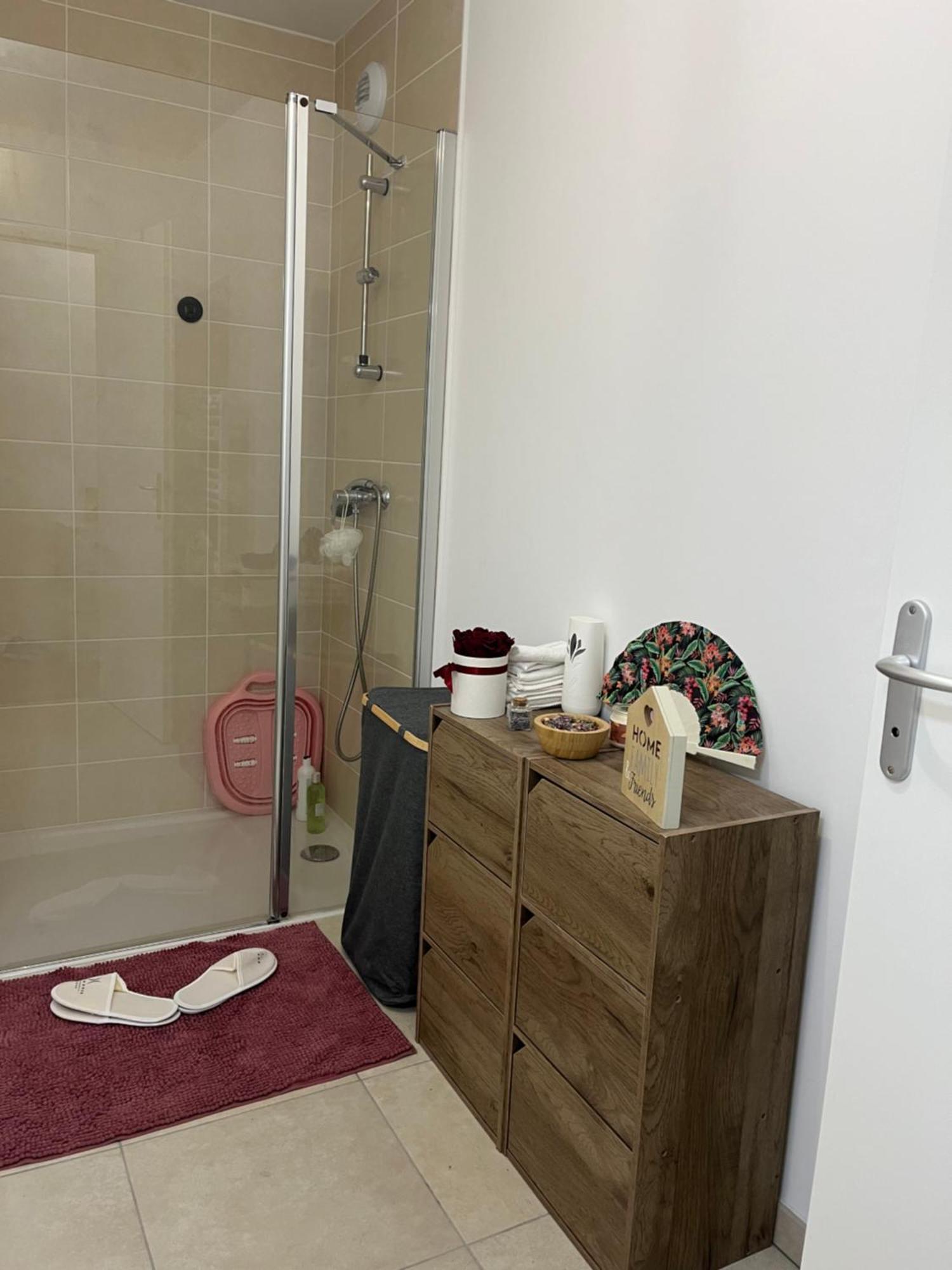 Appartement Luxueux Au Coeur De 里尔 外观 照片