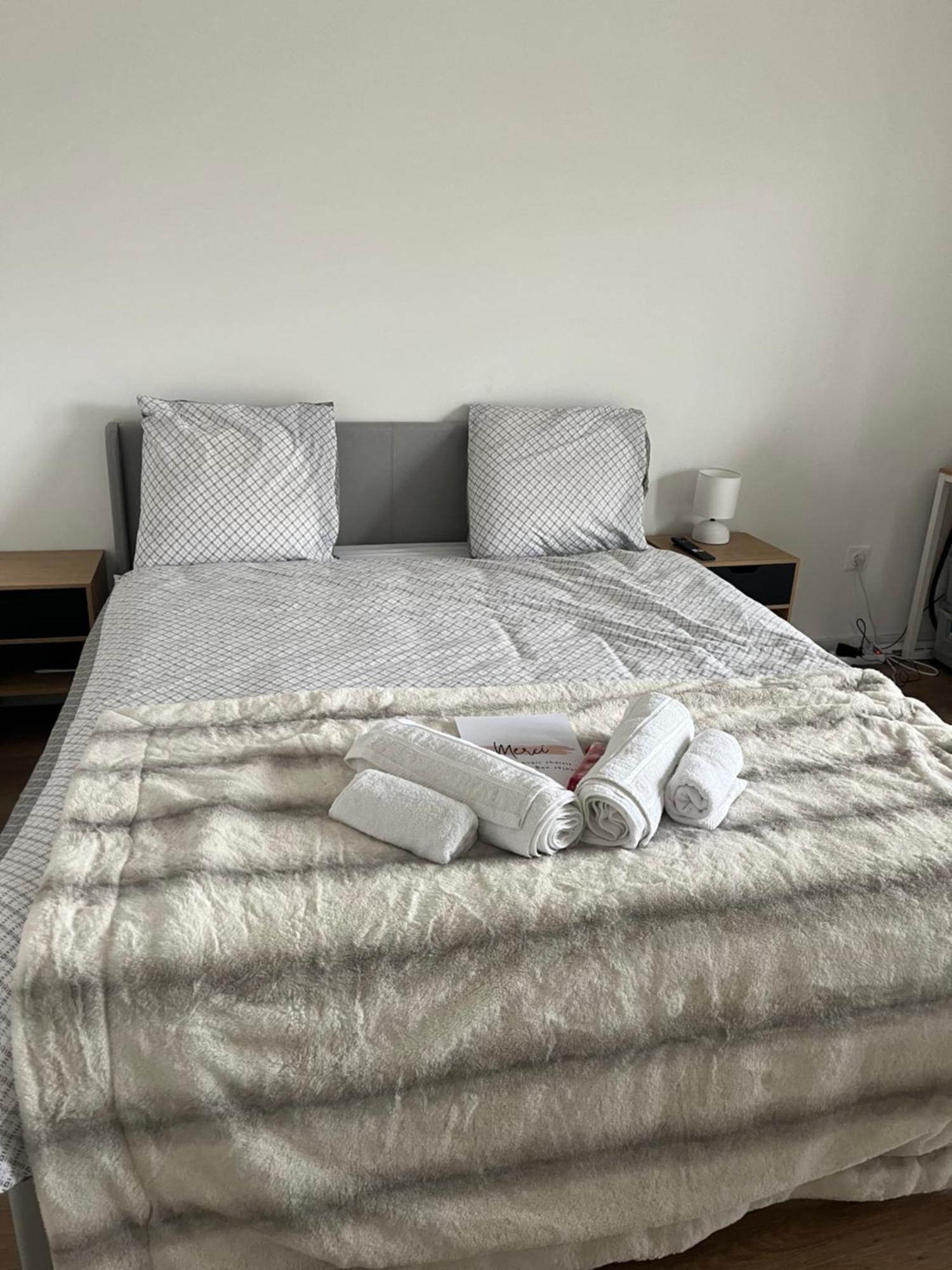 Appartement Luxueux Au Coeur De 里尔 外观 照片