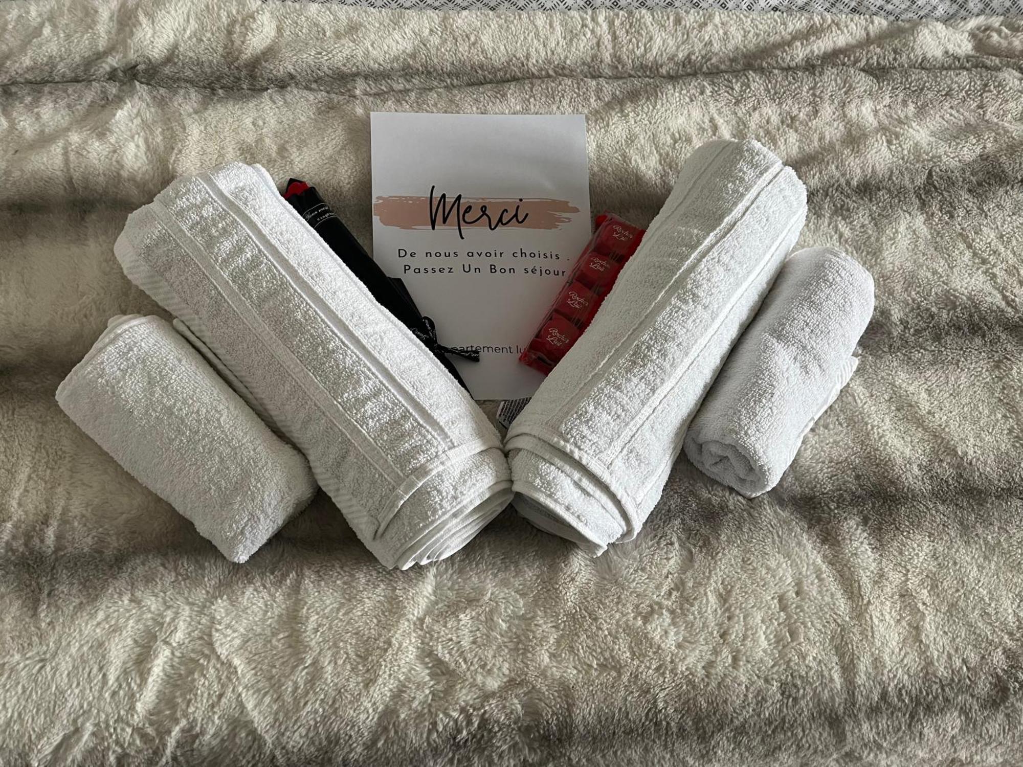 Appartement Luxueux Au Coeur De 里尔 外观 照片