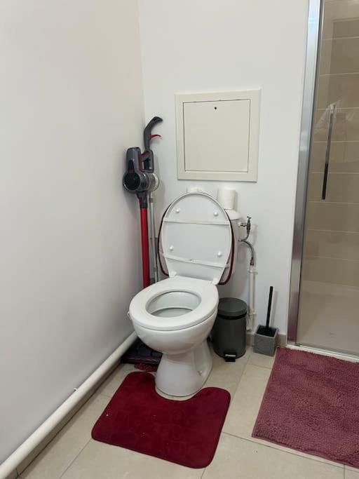 Appartement Luxueux Au Coeur De 里尔 外观 照片